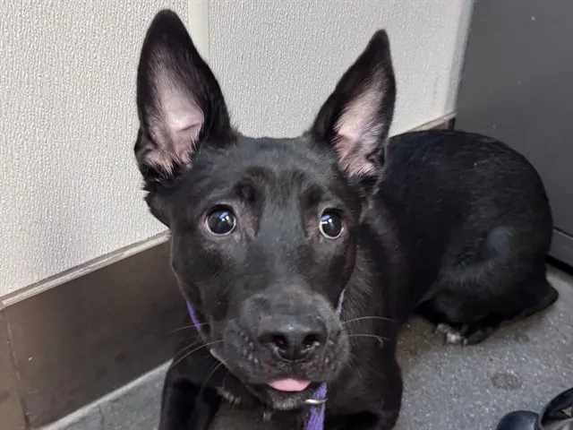 Luna