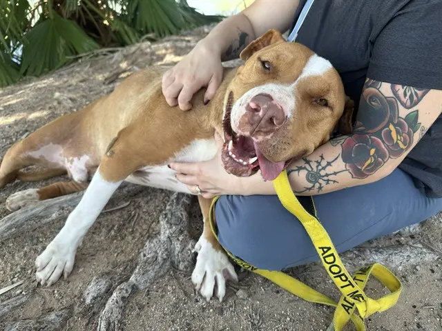 Kilo