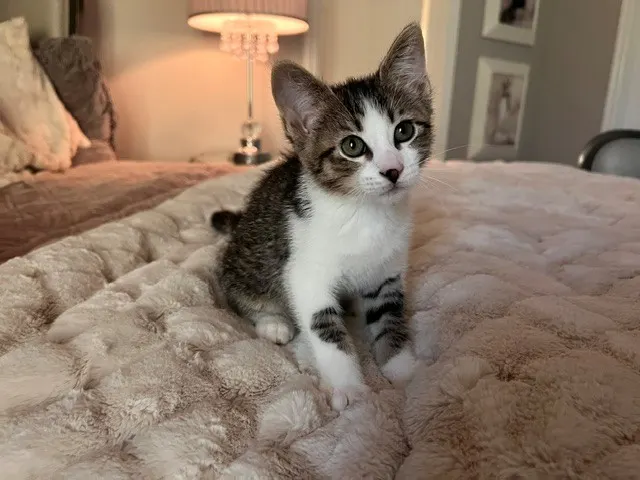 William