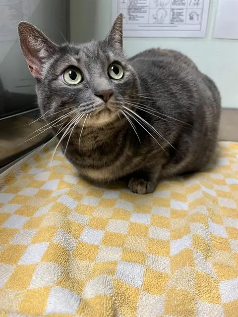 Myrna