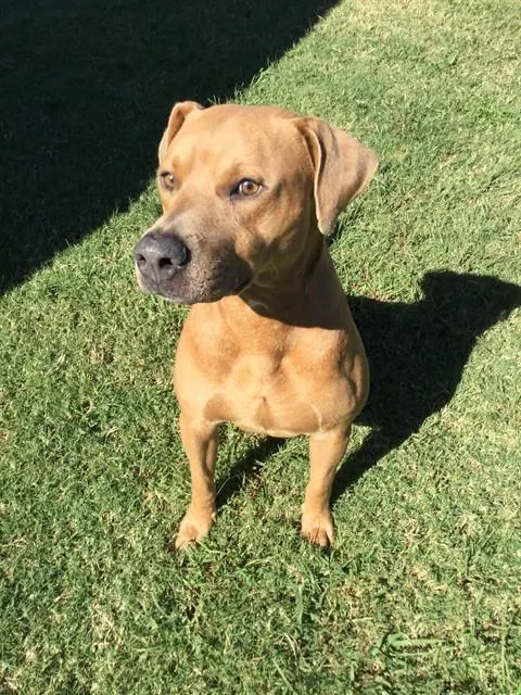 Booker