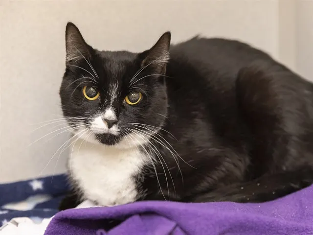 Suzie