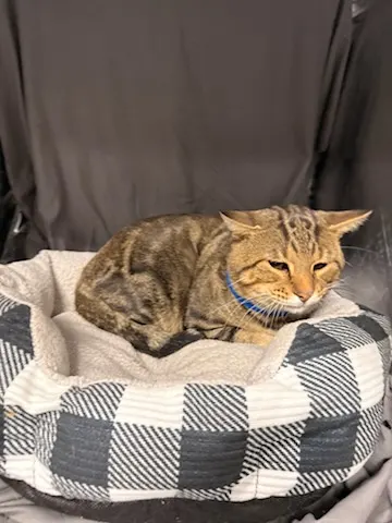 Edgar