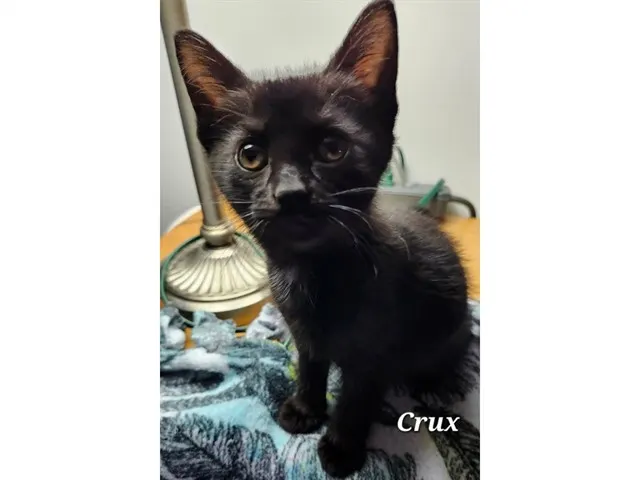 Crux
