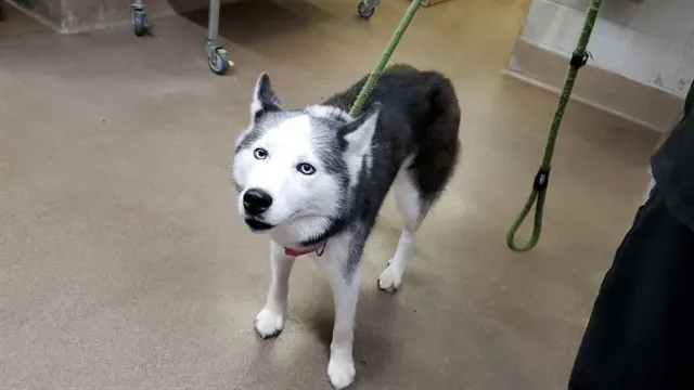 *Sabrina