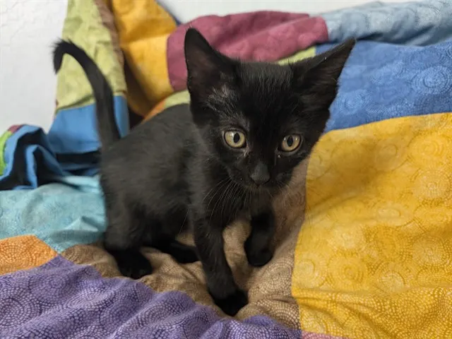 Eleanor