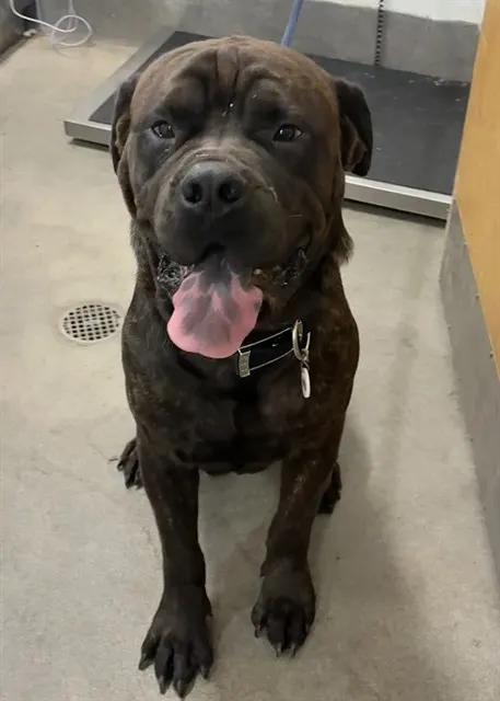 Max