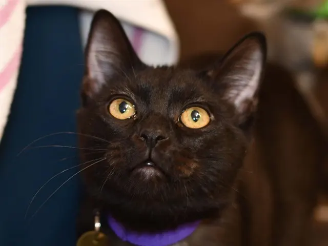 Walter