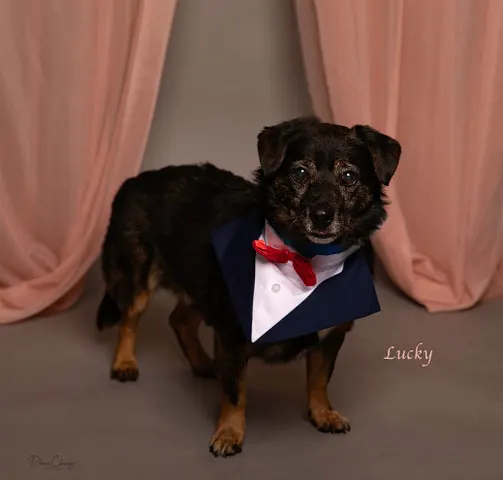 Lucky