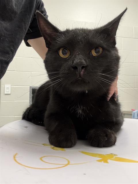 Nimbus
