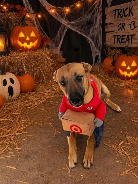Coco