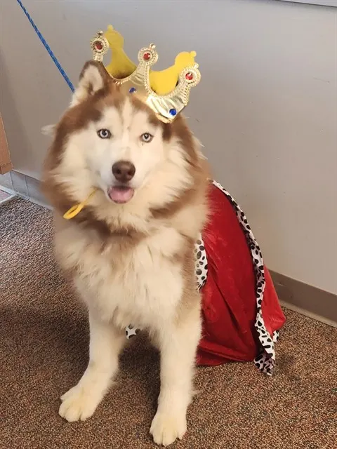 *King George