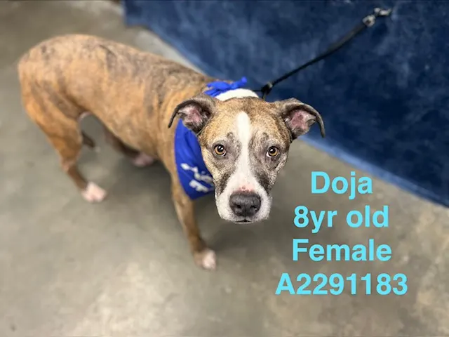 Doja