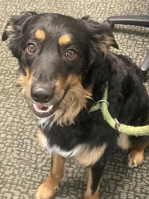 Benny