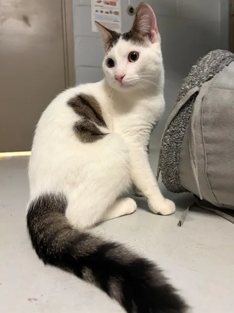 Marco