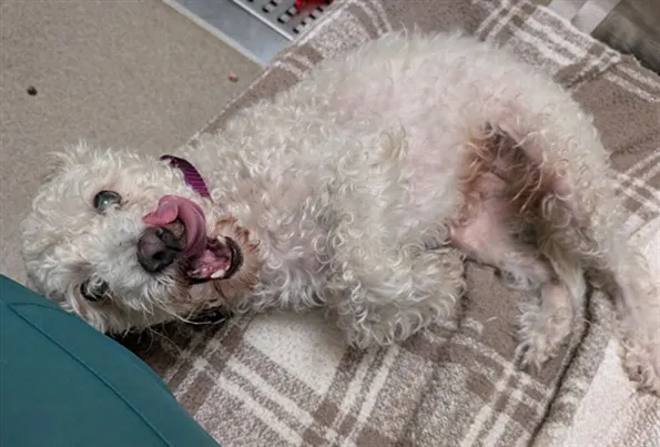 1St Mate Belly Rubs