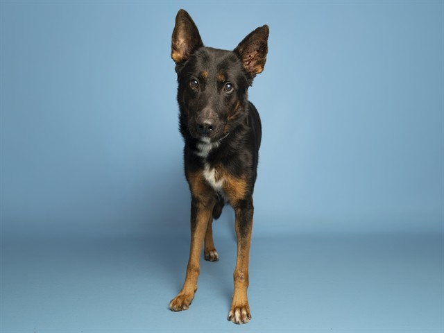 Max