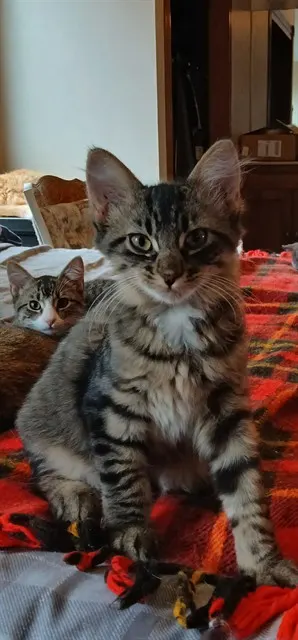 Sammy