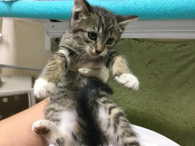 Billie Jean