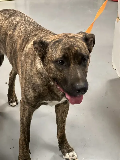 Fiona