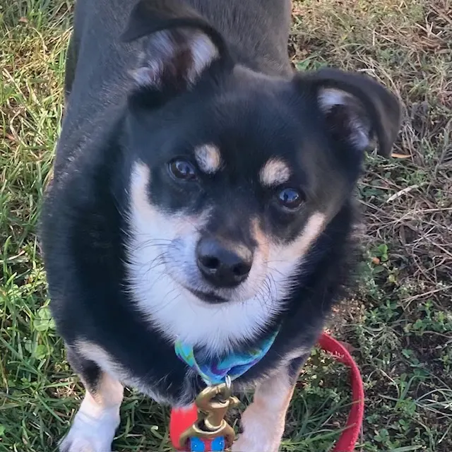 Coco