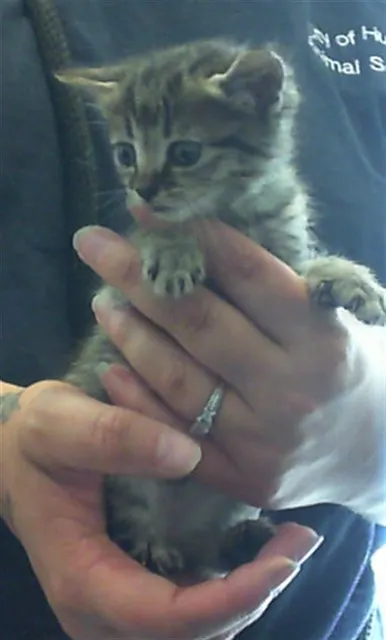 Oliver