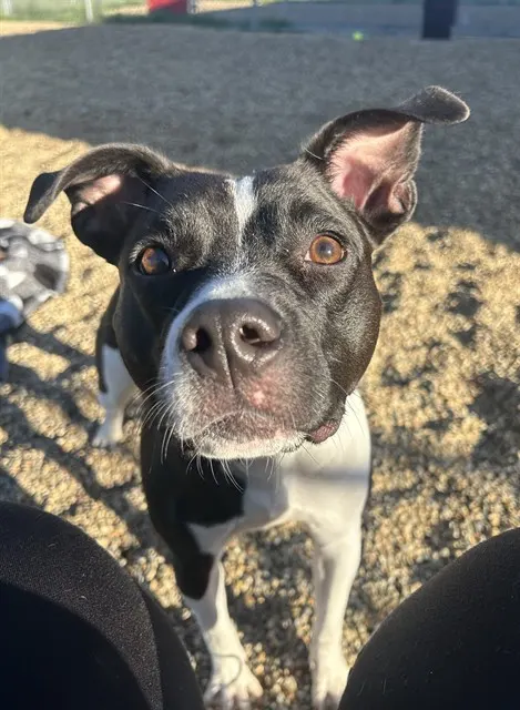 Ellie
