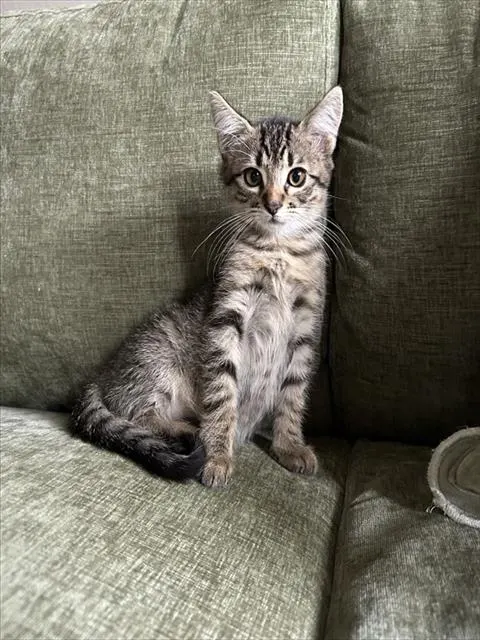 Leo