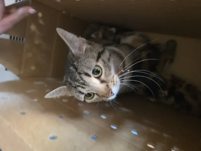 Luna