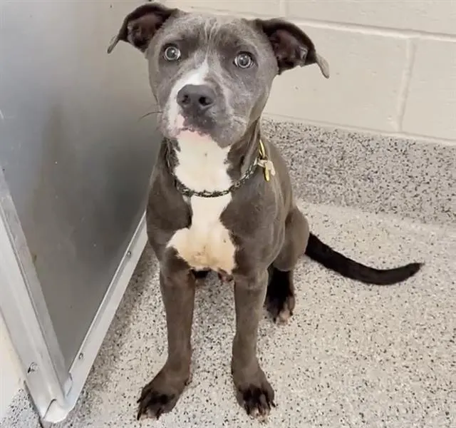 Benny
