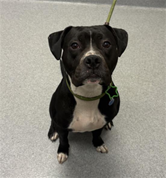 Tyson