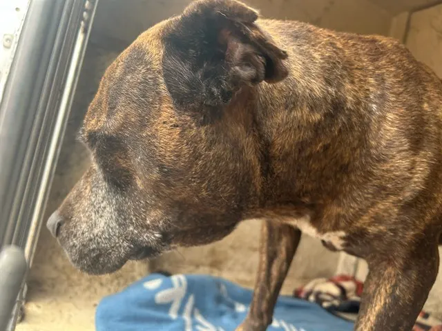 Esther