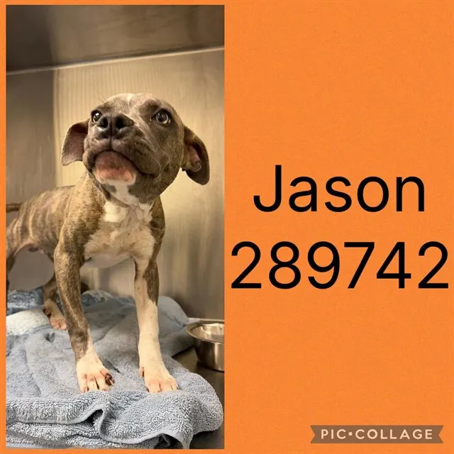 Jason