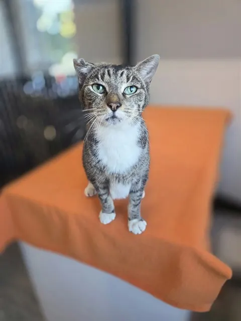 Jordan