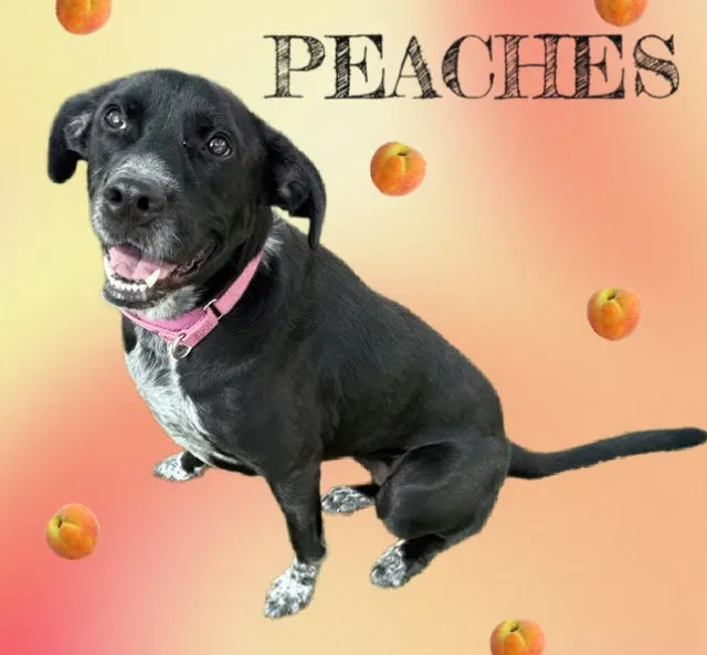 Peaches