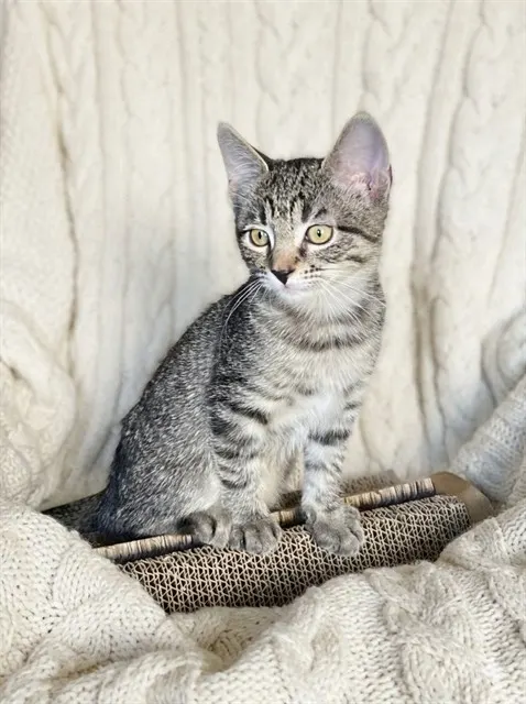Mila