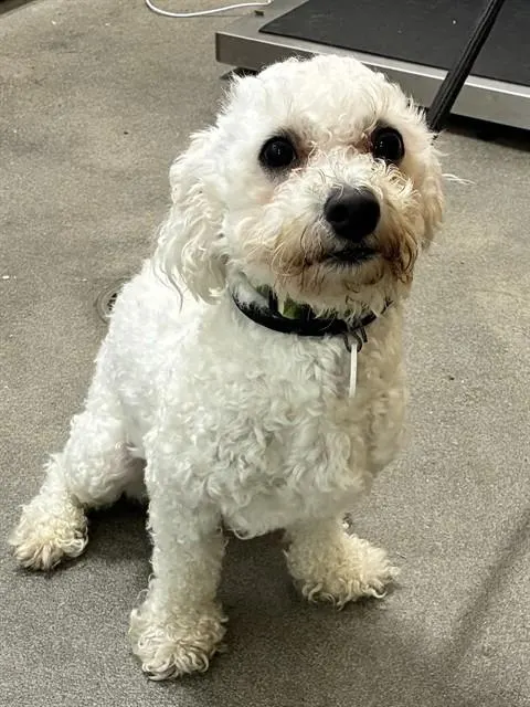 Max