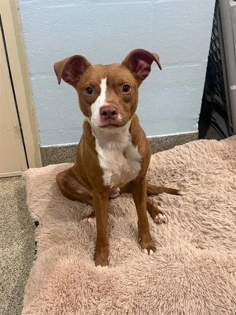 Ella