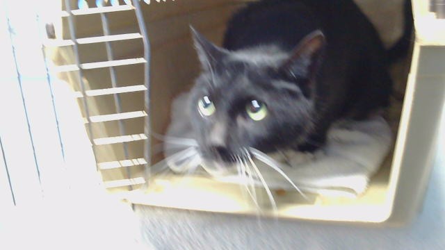 Fred