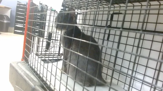 Ted Furry
