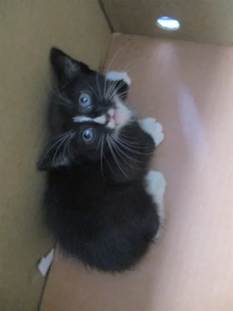 Munchy