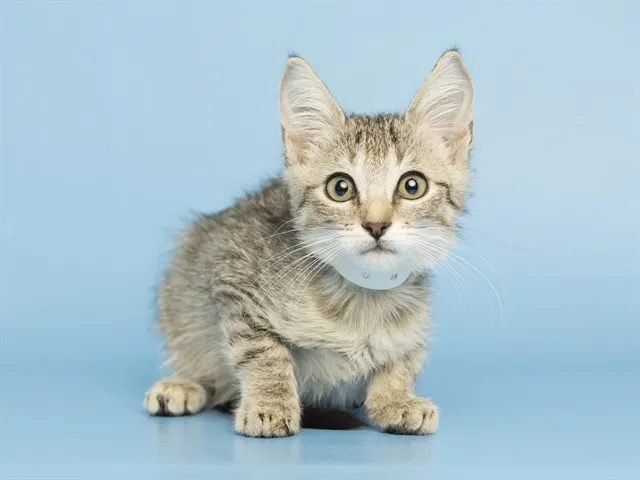 Winifred