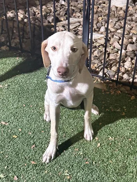 Marley