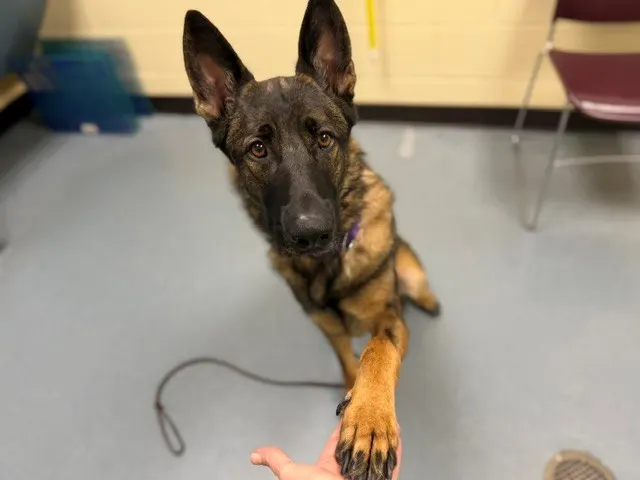 Max