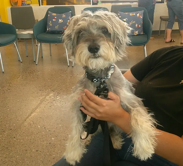 Milo