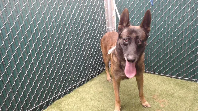 Zeus