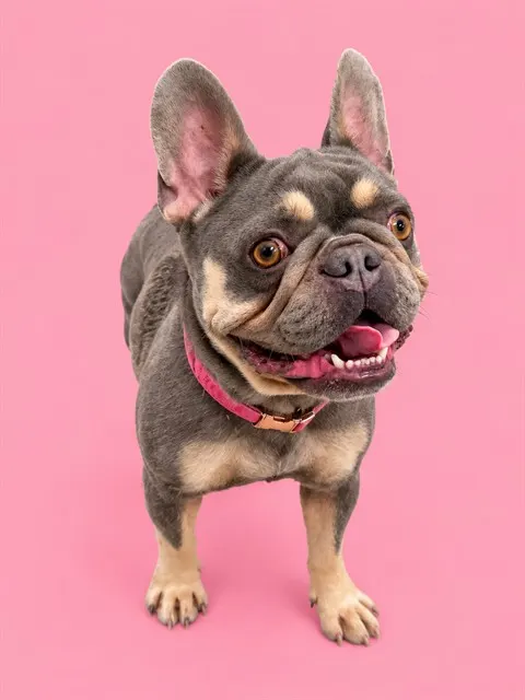 Coco