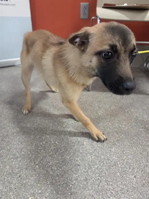 Marnie