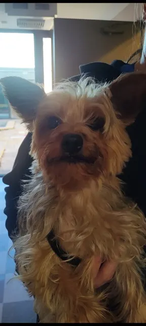 Milo