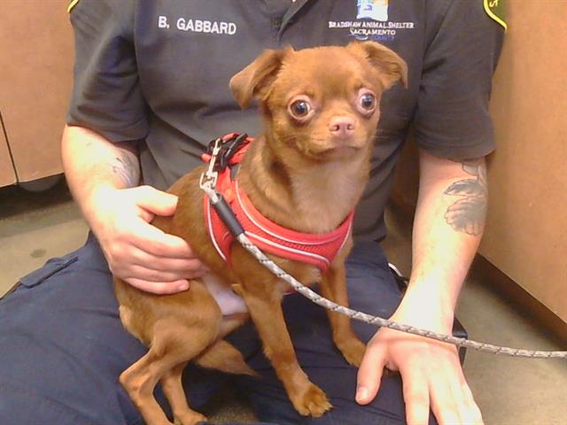 Paco